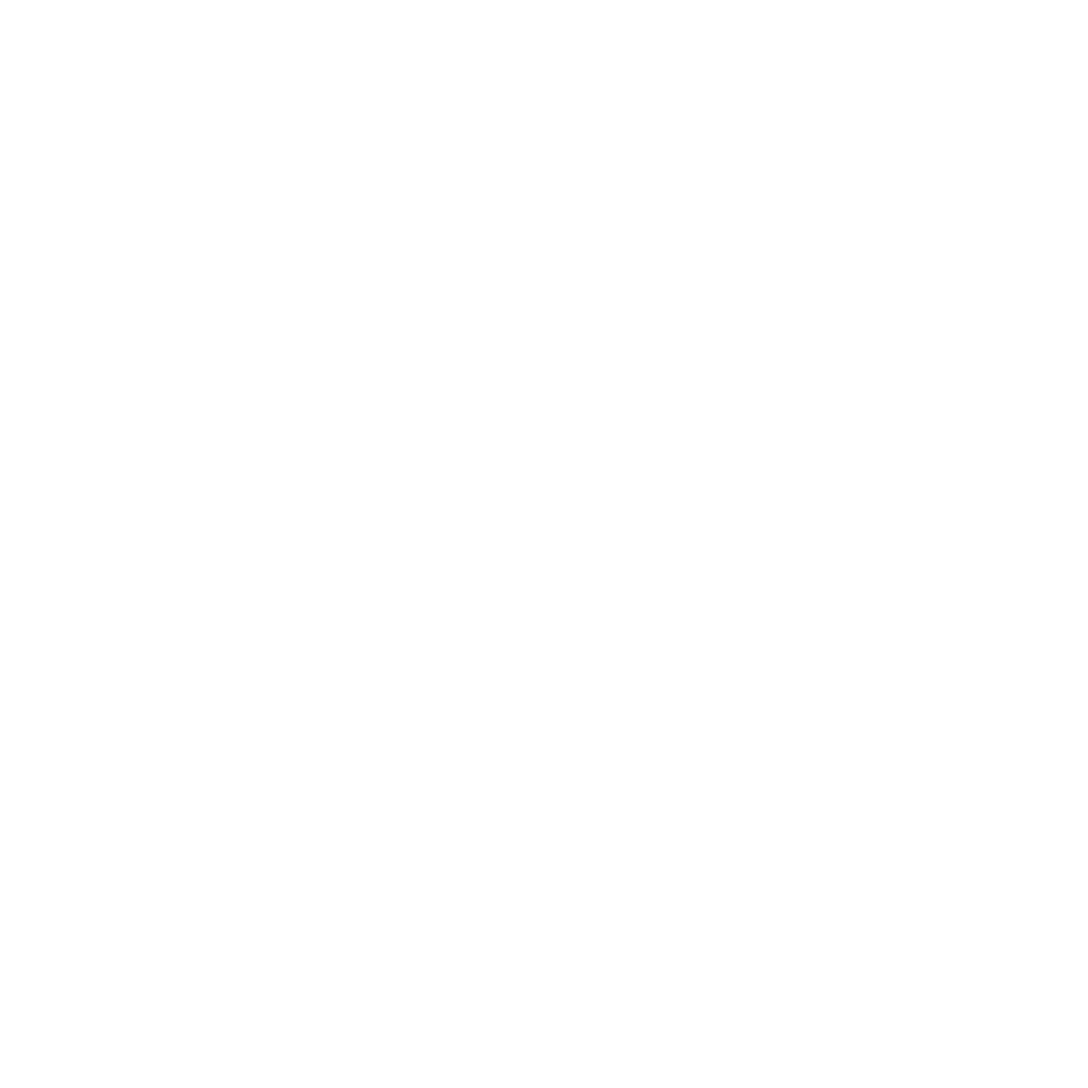 vivian-gerwig-logo-monogramm-weiß-footer